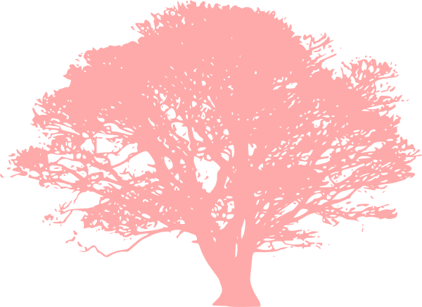 Pink Tree Love Clip Art - Olive Tree Black And White (600x436), Png Download