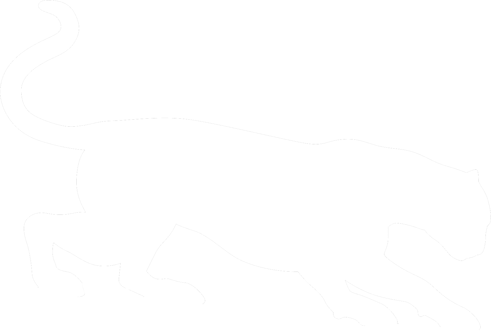 Puma Logo - White Cougar Silhouette (1608x1088), Png Download