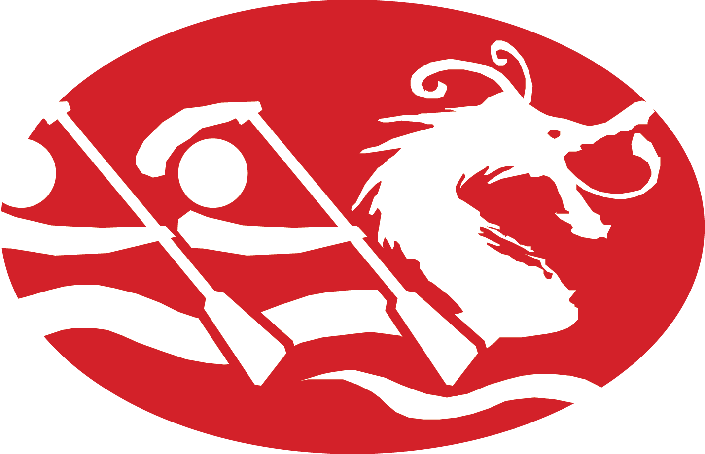 Houston Dragon Boat Festival (1430x922), Png Download