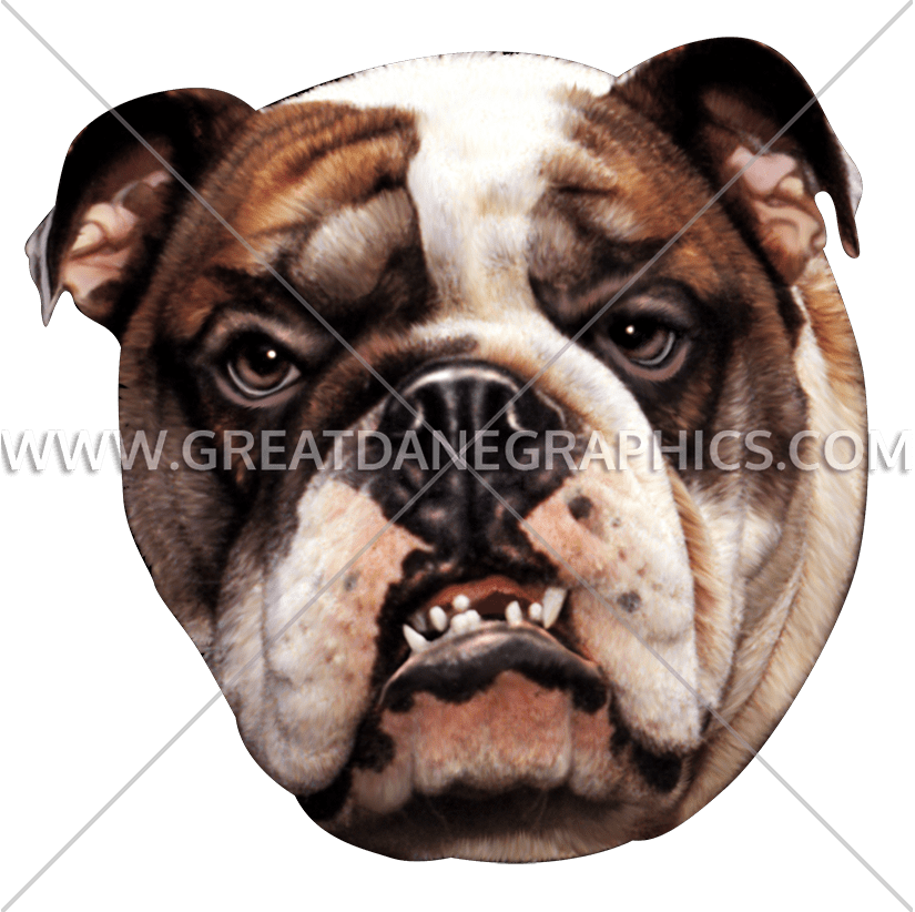 Fantasticdesignsshop Bulldog Tee Shirt, Dog Lover Tshirt, (825x822), Png Download