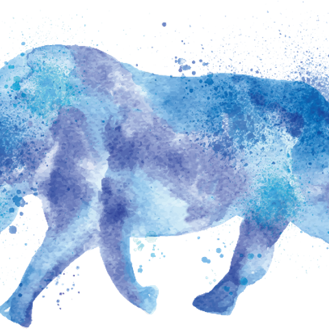 Watercolor Rhino Png (480x480), Png Download