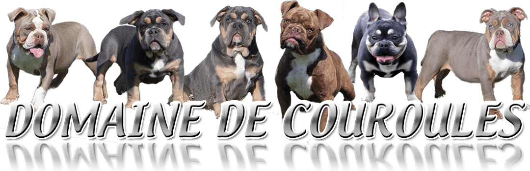 Domaine De Couroules Logo - Archive (1080x350), Png Download