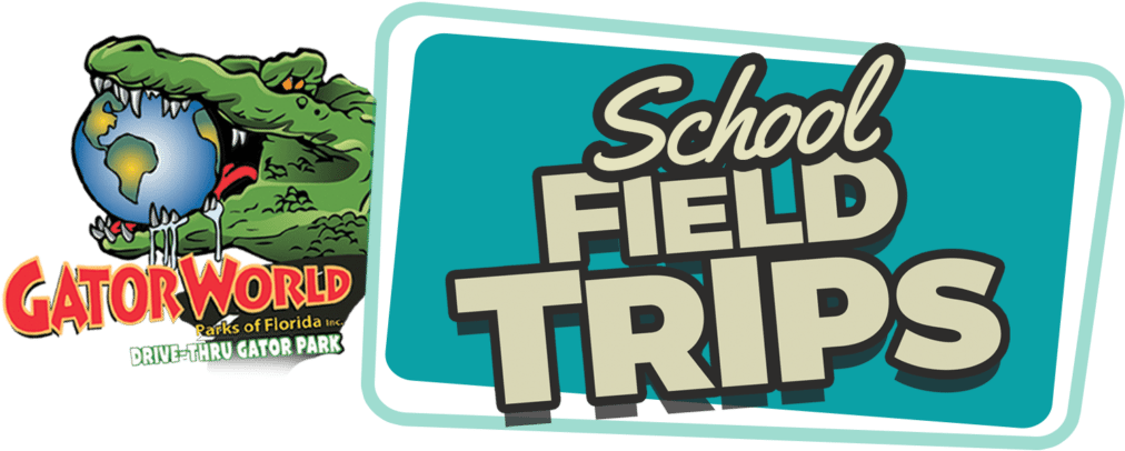 School (1024x520), Png Download