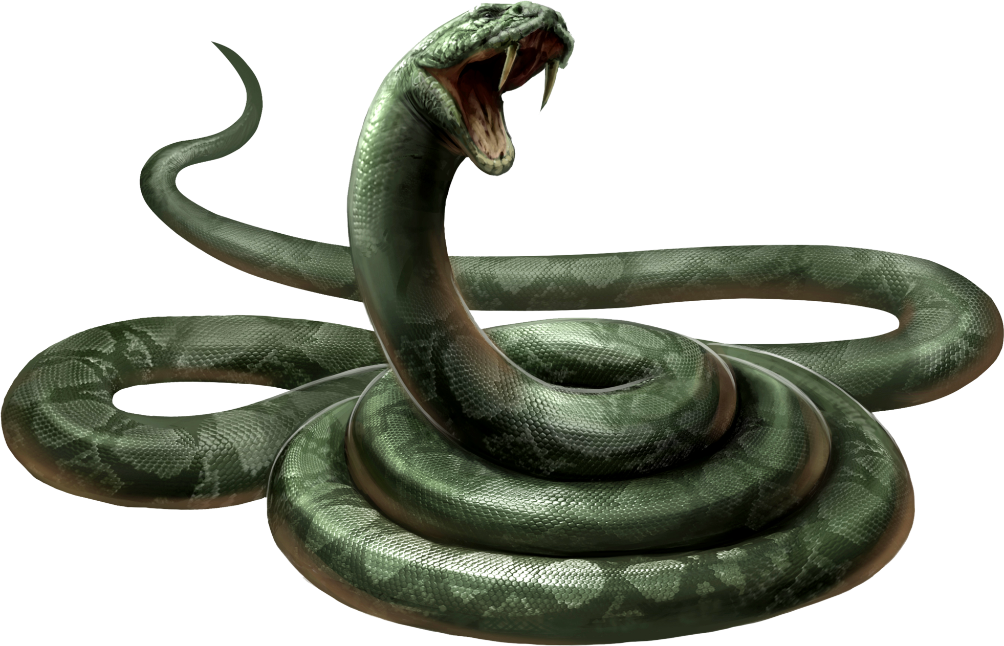 Snake Png Download Image - Snake Png (2000x1309), Png Download