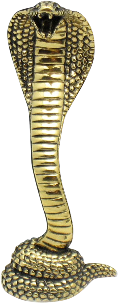 Cobra Snake Png Hd - Cobra Snake Png (1023x1023), Png Download