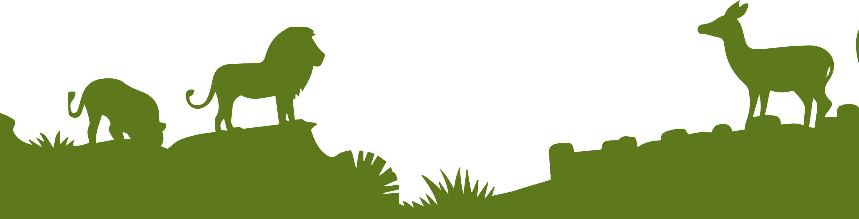 Field Trip Scholarships - Zoo Animal Backgrounds (2800x715), Png Download