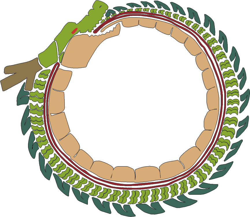 Shenron In A Circle (961x832), Png Download