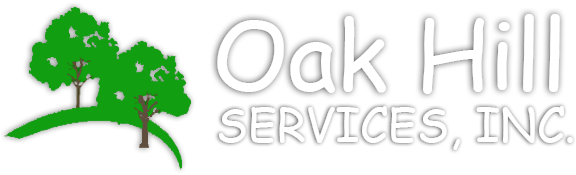 Oak Hill Services - Calligraphy (640x228), Png Download