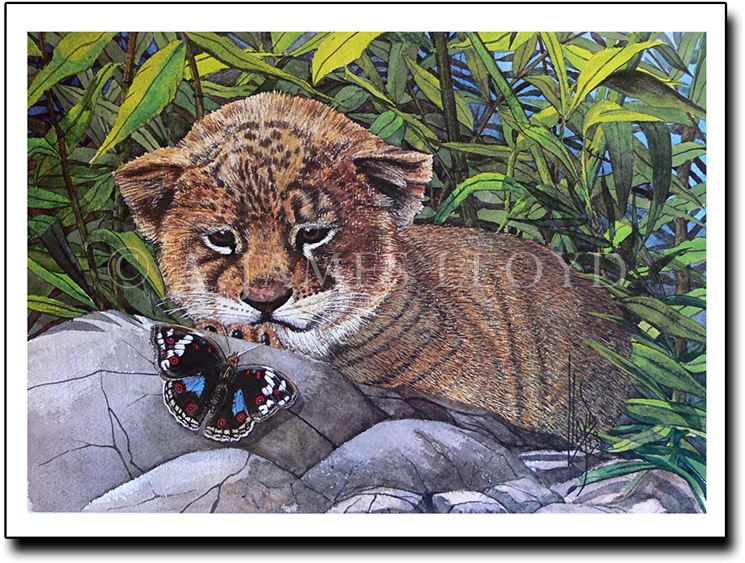 This Puddle's Mine - Ocelot (771x606), Png Download
