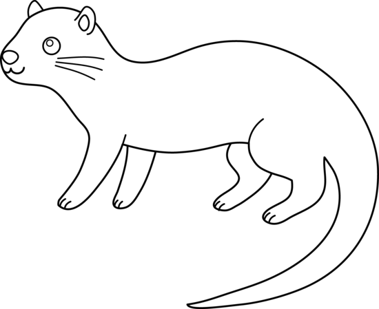 Otter - Clip Art (550x449), Png Download
