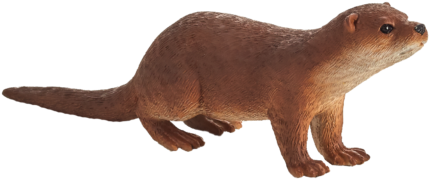 Otter - Mojo Fun Otter (540x439), Png Download