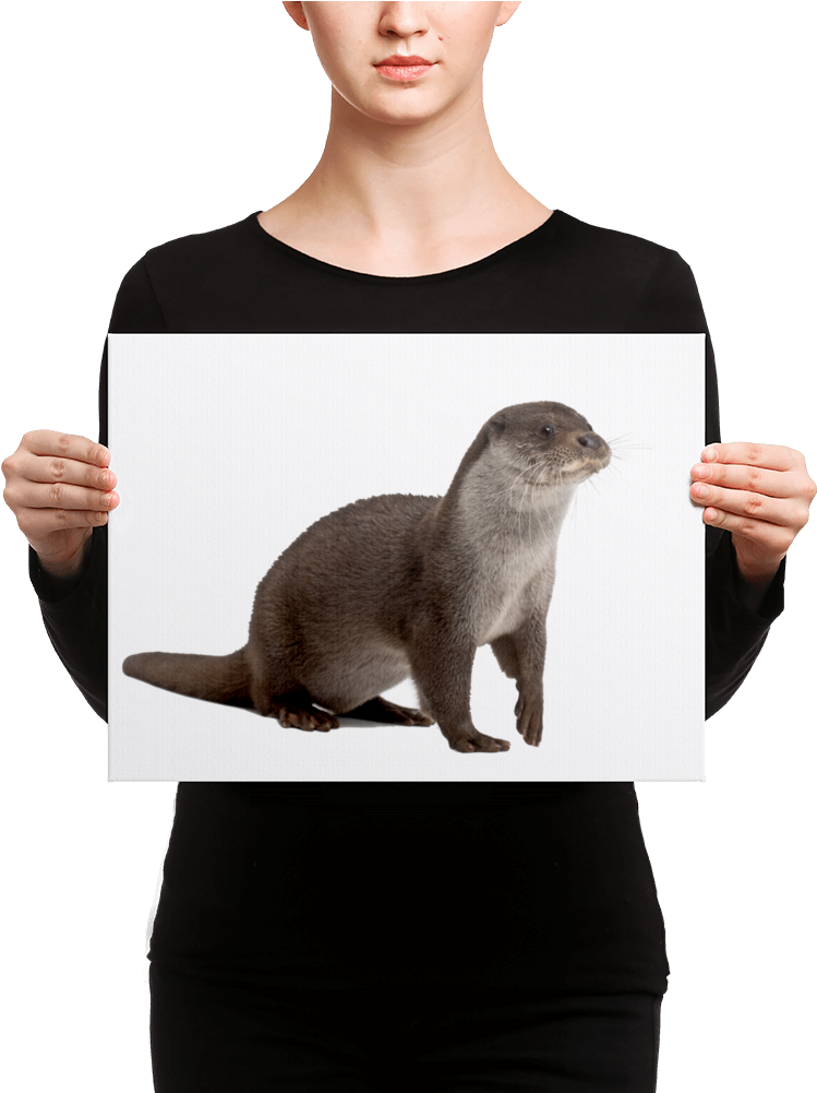 European-otter Canvas - Black Mask Fawn French Bulldog Is Ready (1000x1000), Png Download