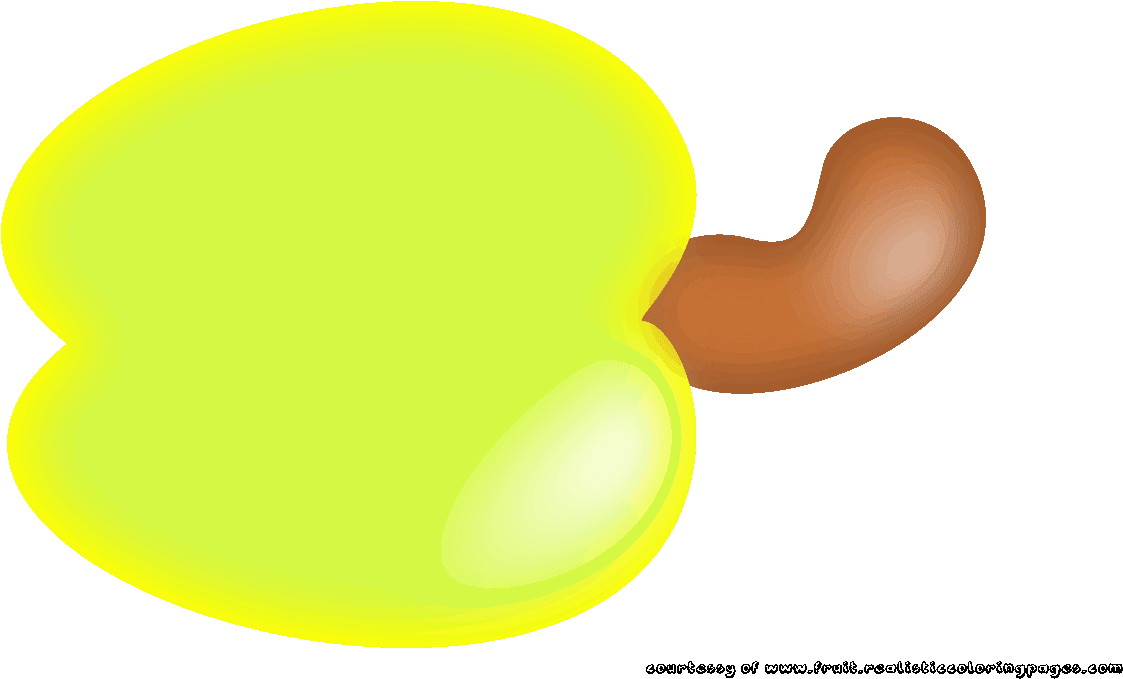 Cashew Clipart Yellow - Circle (1280x720), Png Download