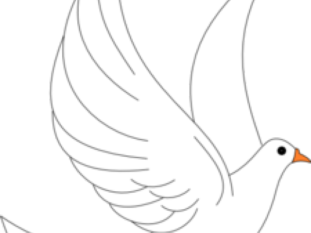 White Dove Cliparts - Illustration (640x480), Png Download