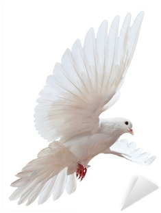 El Espiritu Santo Y El Hablar En Otras Lenguas (400x400), Png Download
