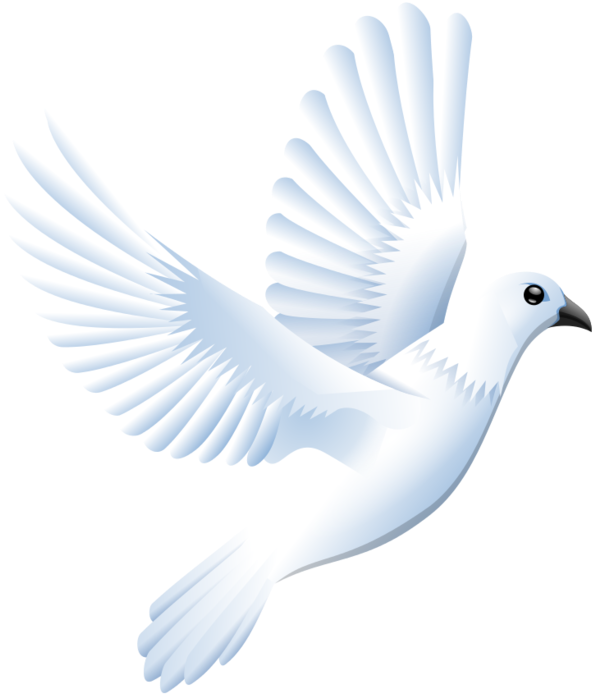 White Dove Clipart White Dove Svg Fvaday Clipart - White Bird Vector Png (700x700), Png Download