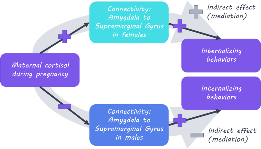 Cortisil1800 (1000x573), Png Download