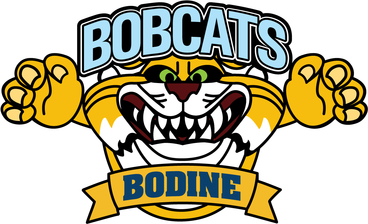 Svg Transparent Download Bobcat Clipart Embroidery (1200x749), Png Download