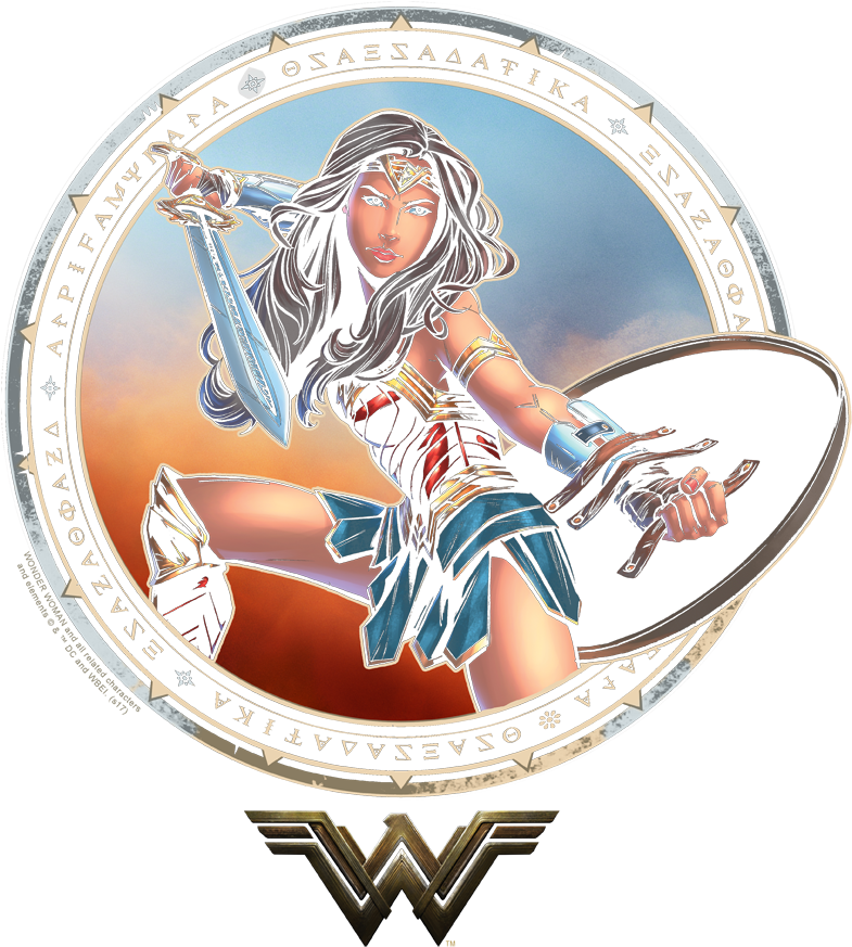 Wonder Woman Battle Pose Men's Crewneck Sweatshirt (850x938), Png Download