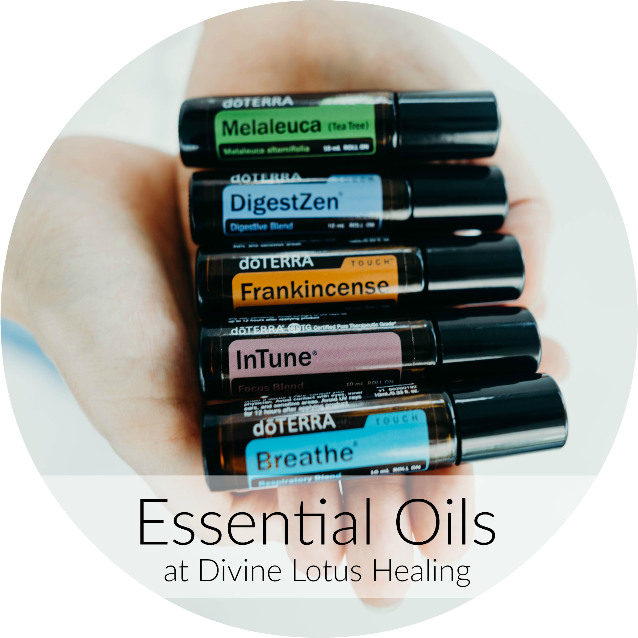 View All (2136x2125), Png Download