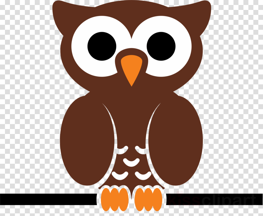 Owl Clip Art Png (900x740), Png Download