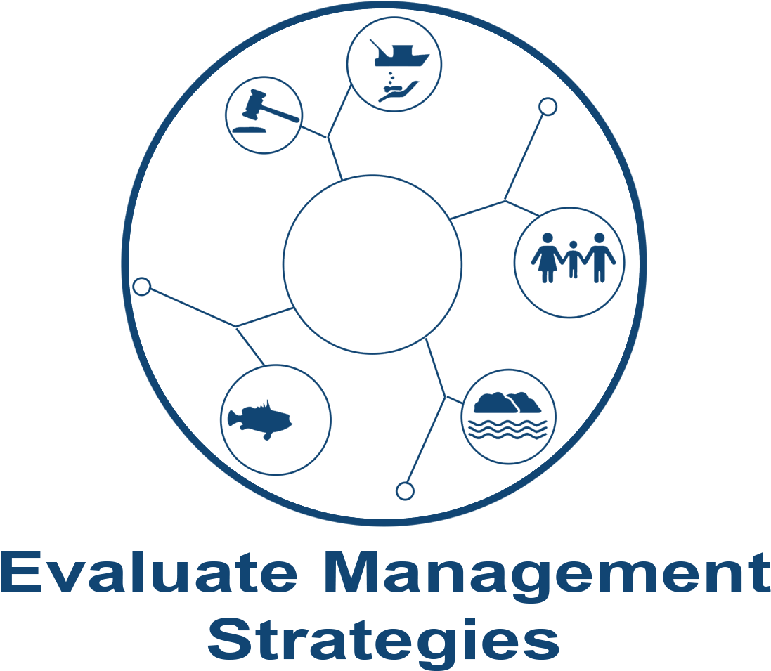 Management Strategy Evaluation (1500x1000), Png Download