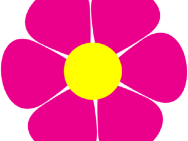 Daisies Png (640x480), Png Download