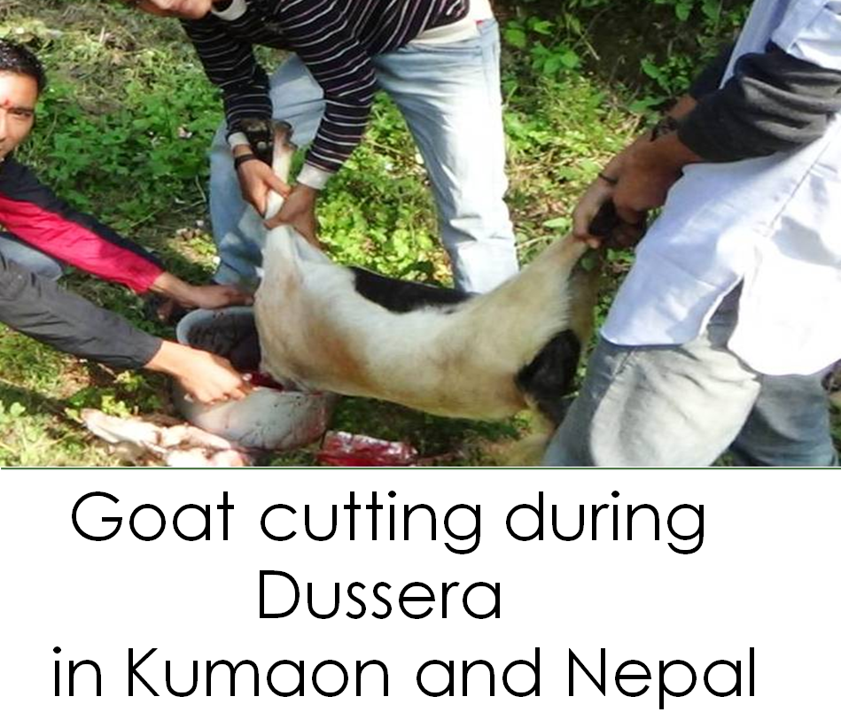 Nepal Flag Png (949x804), Png Download