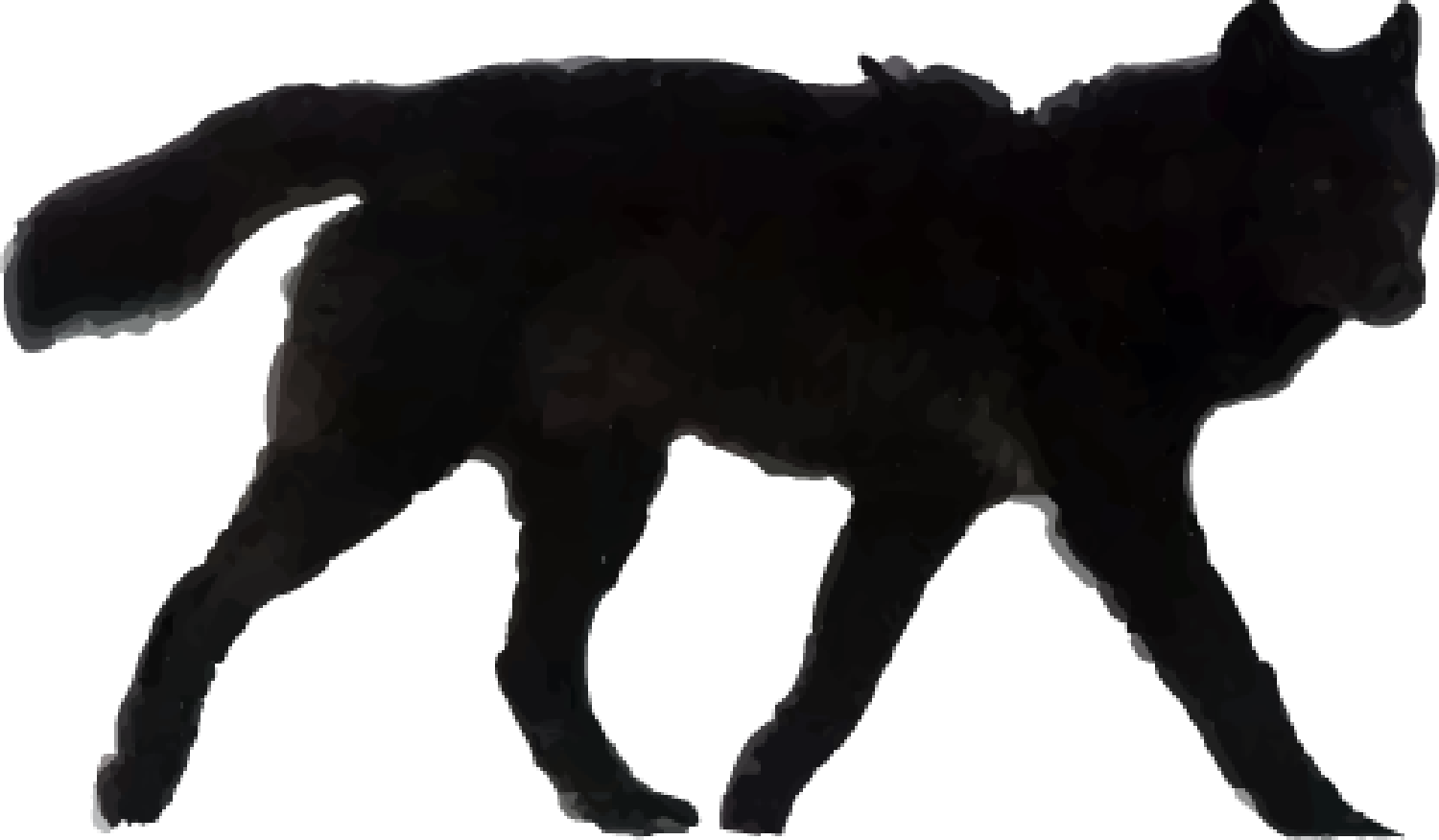 Our Story Black Wolf (1500x876), Png Download