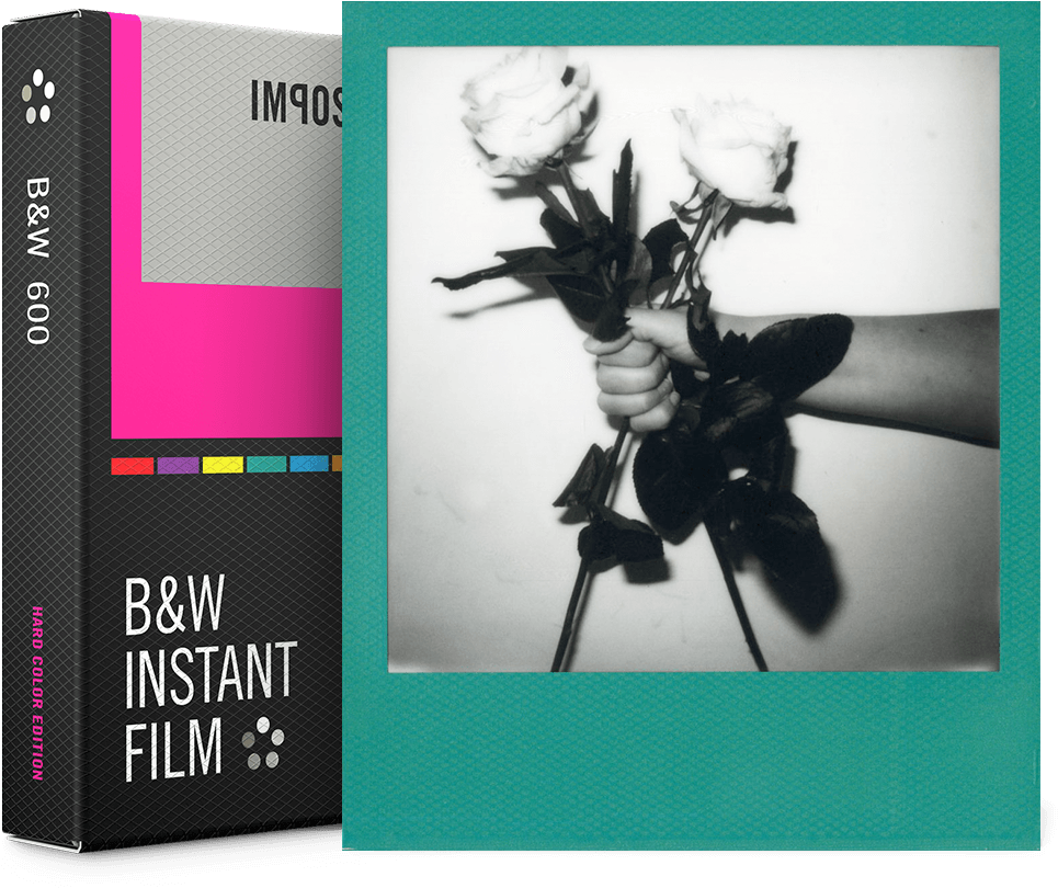 Polaroid Frames Png (1024x1024), Png Download