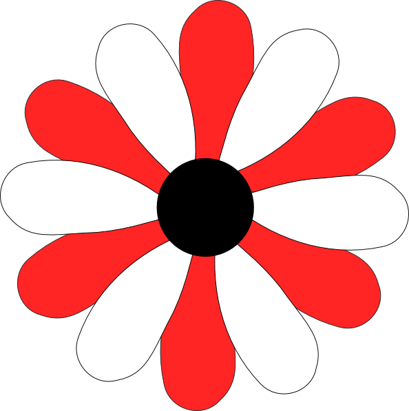 White Daisy Png (594x597), Png Download