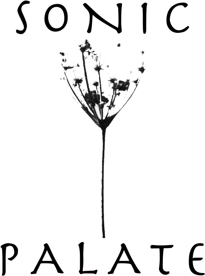 Sonic Running Png (1000x1000), Png Download