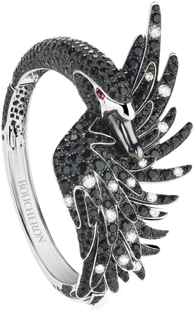 Black Swan Png (740x740), Png Download