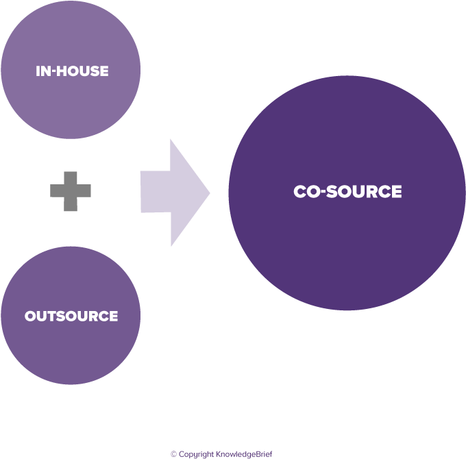 Co-sourcing (859x858), Png Download