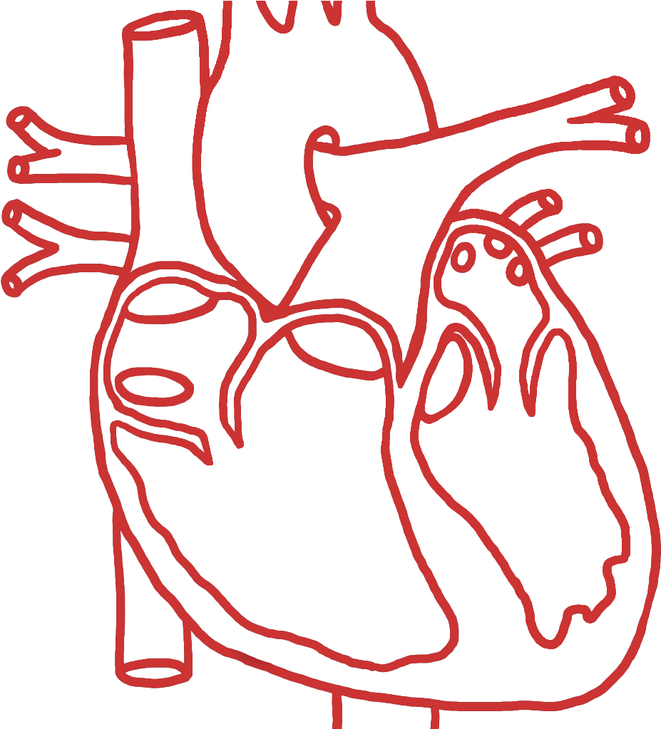 Structural Heart (1022x1022), Png Download