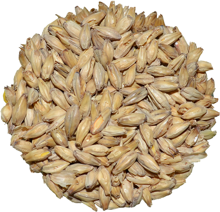 Brewers Malt │ Rahr 6-row (700x700), Png Download