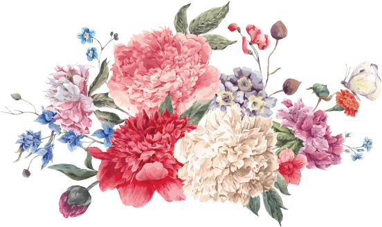 Flower Watercolor Painting Illustration - Flowers Arranged Vector (568x518), Png Download