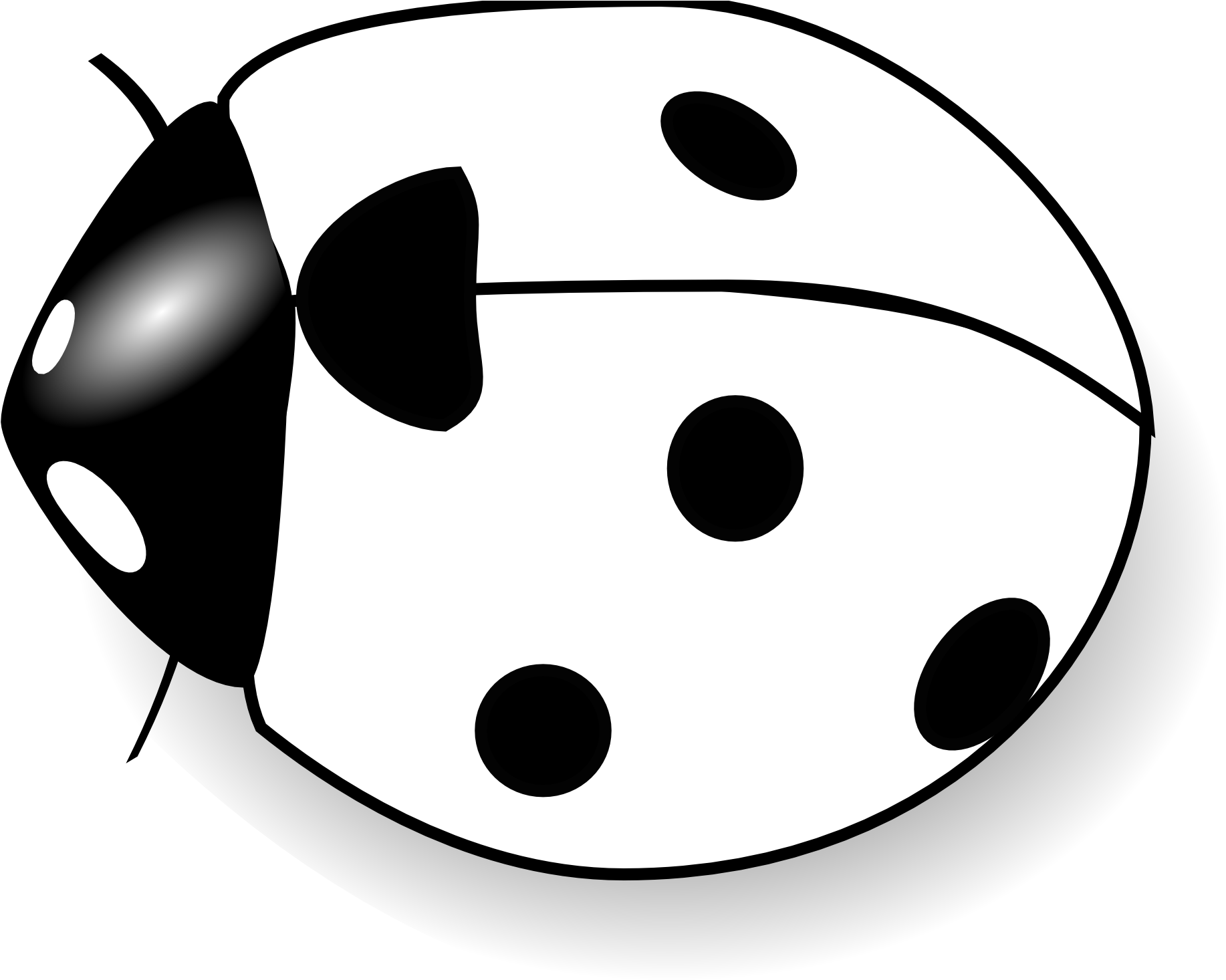 Ladybug On Flower Clipart - Clipart Of Lady Bug Black And White (1969x1485), Png Download
