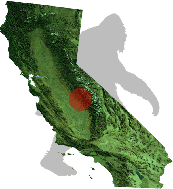 Template For Bfb States Ca Png 24 - California Map Of State (350x412), Png Download