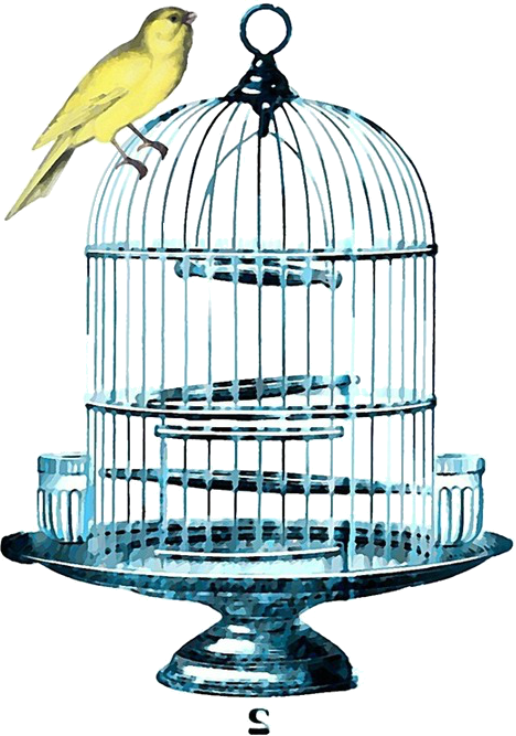 Birdcage Watercolor (468x667), Png Download