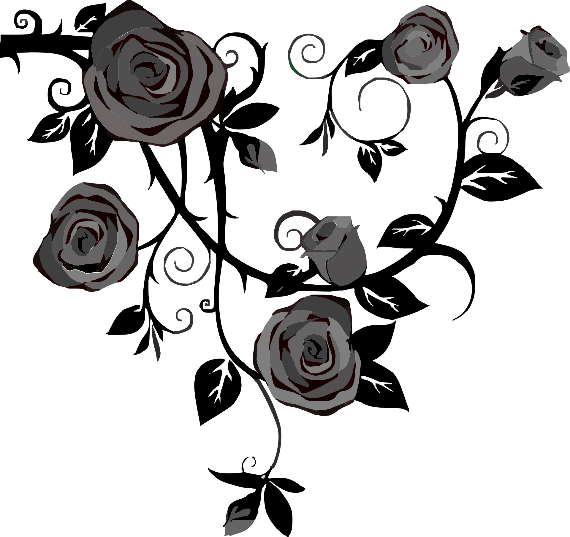Rose Vine Drawing Thorns (1920x1809), Png Download