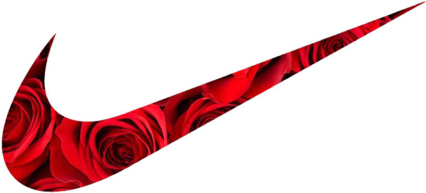 Views (960x1280), Png Download