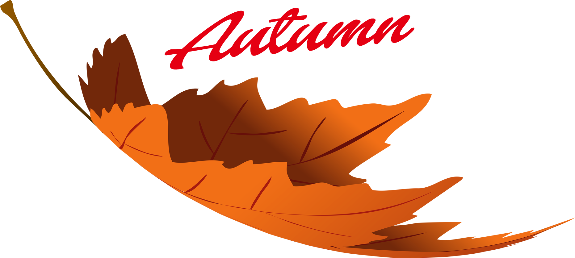Autumn Leaves Png Image - Fall Leaves Transparent Png (1920x1200), Png Download