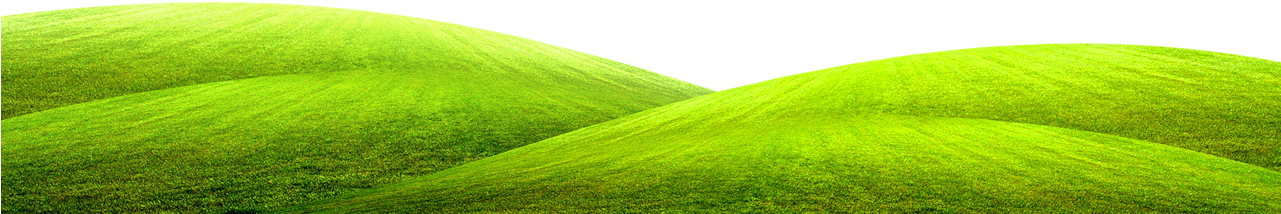 Green Grass Ground Picture - Grassy Ground Clipart (1280x332), Png Download