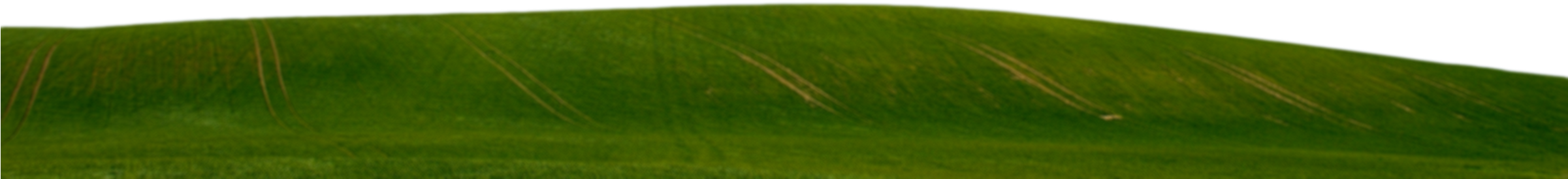 Green-grass - Grass (2400x600), Png Download