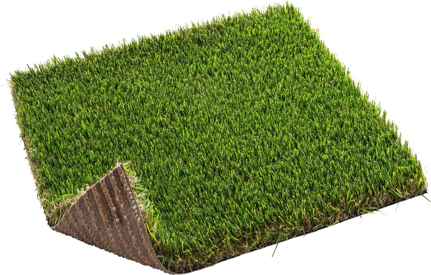 Moorland Grass Has A Shorter Blade Than Other Grasses - 2x04m 2x4m Zurich Pro Cesped Nortene (1500x1000), Png Download