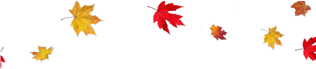 Autumn Png Transparent Images - Fall Leaves Transparent Background (640x480), Png Download