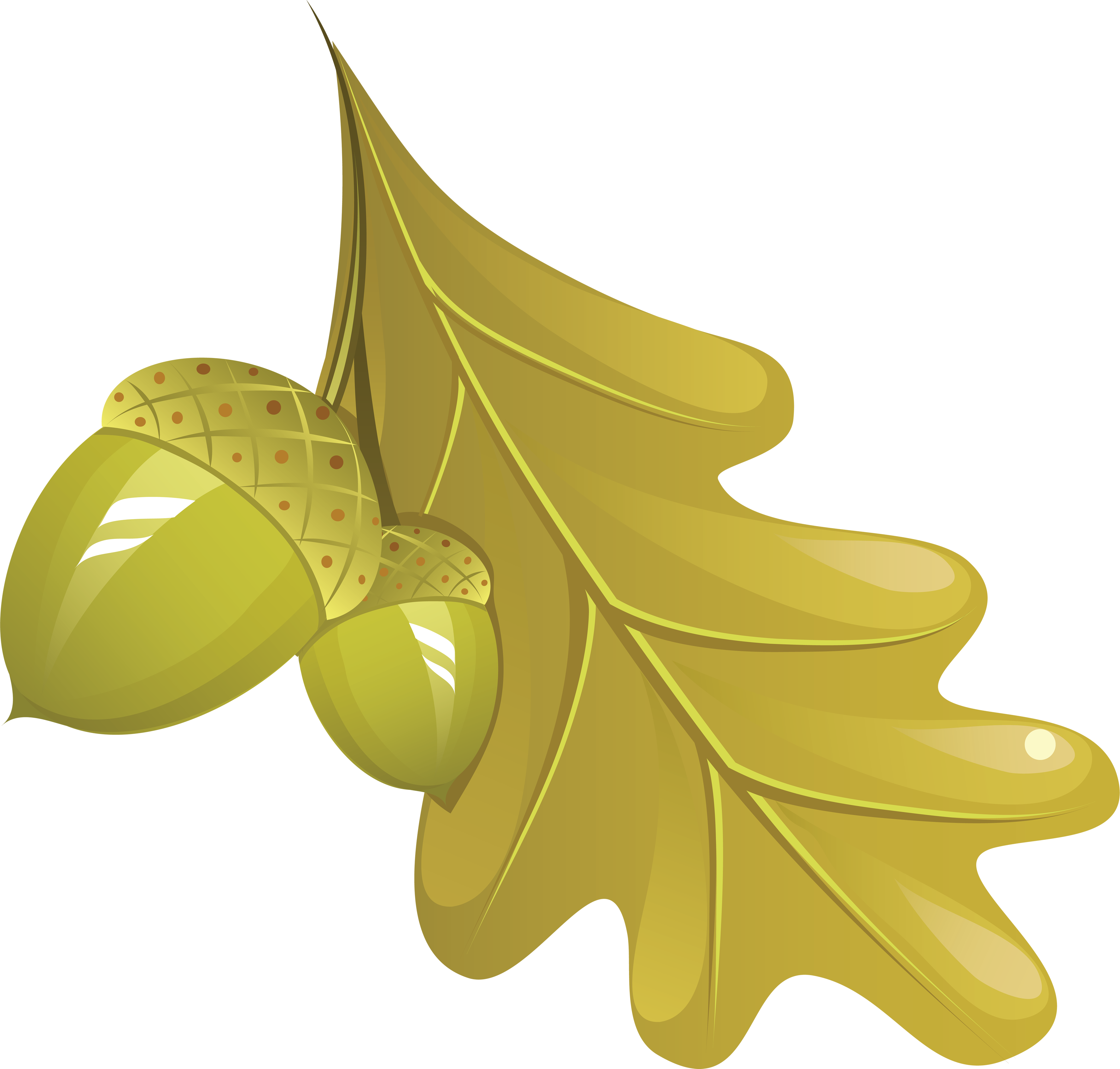 Autumn Leaves Png Image - Дубовый Лист Png (3552x3392), Png Download