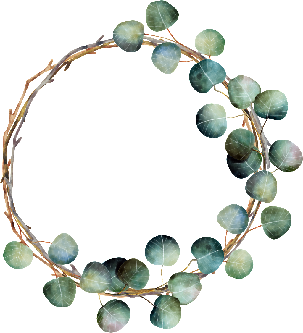 Clove Leaf Hand-painted Watercolor Ring Png Transparent - Eucalyptus Watercolor Vector Free (1024x1126), Png Download