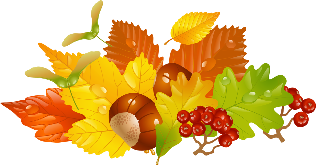 Autumn Png Images, Download 26,067 Png Resources With - Chestnuts Clipart (1246x690), Png Download